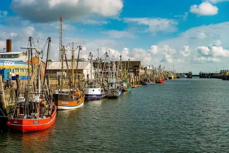 Hobbyhuren Cuxhaven