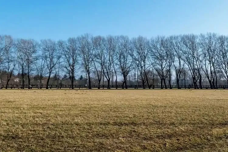 Single Herzogenaurach