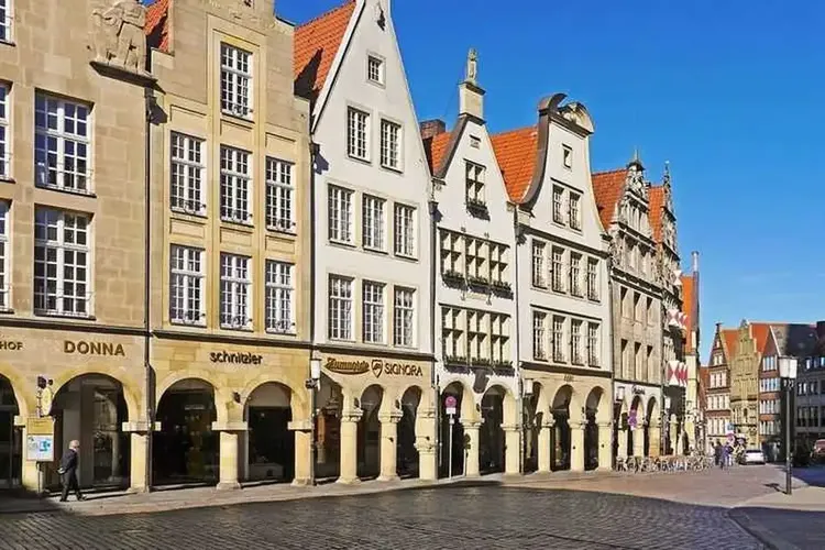 Single Münster