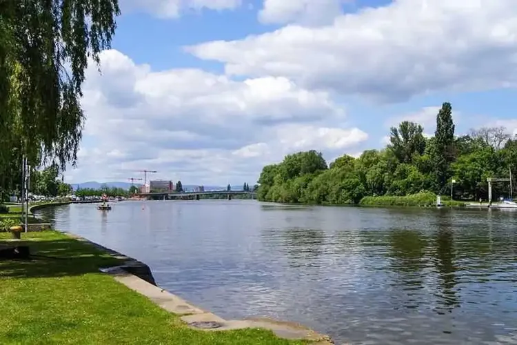Single Offenbach