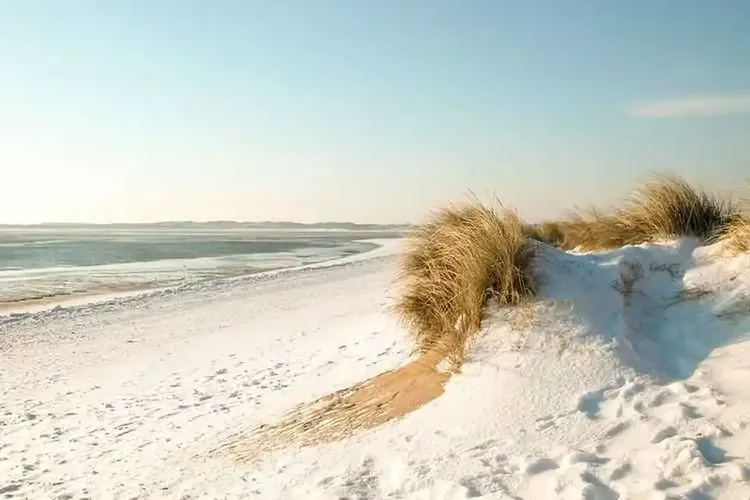 Erotik Sylt